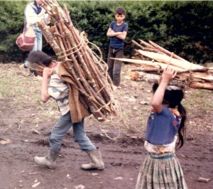 guatemala-kids-carrying-firewood-in-govt-camp